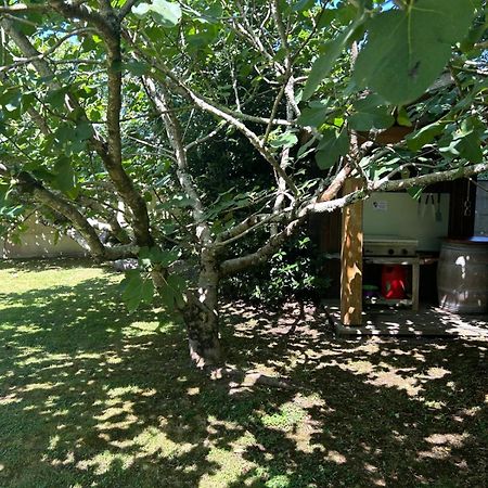 Jolie Maison Le Teich Bassin Park/Wifi Ngoại thất bức ảnh