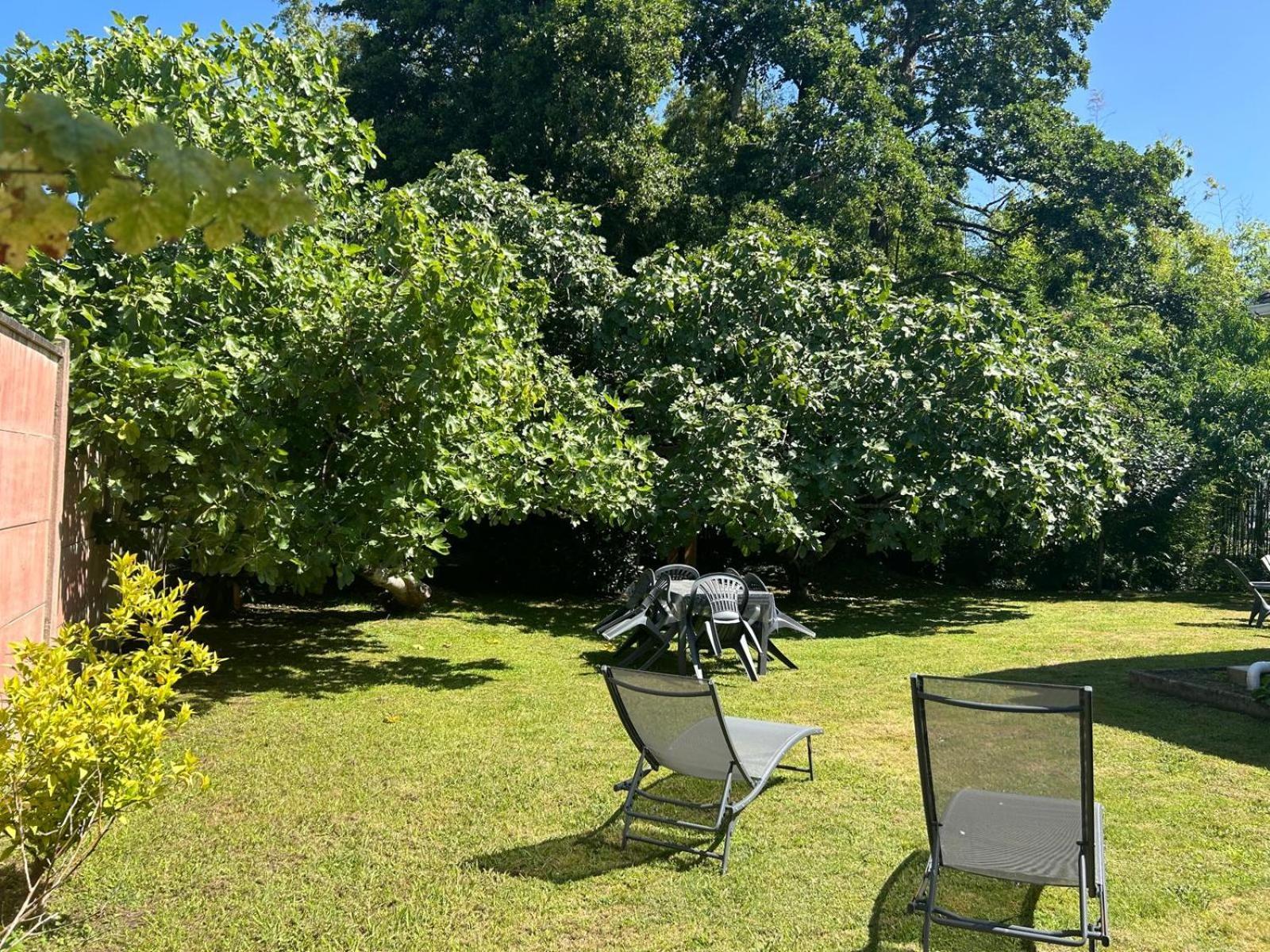 Jolie Maison Le Teich Bassin Park/Wifi Ngoại thất bức ảnh
